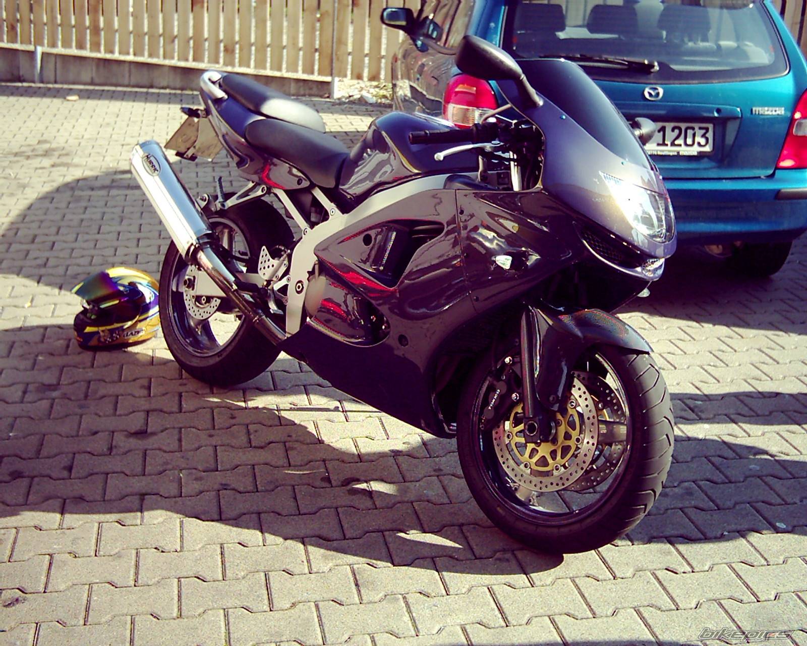 Photo 127728