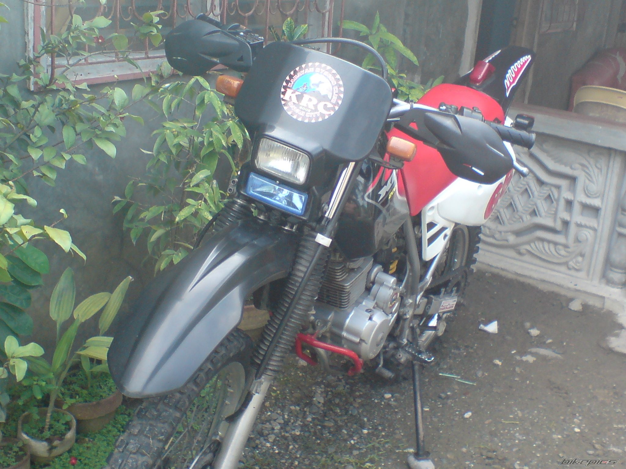 Photo 1277369
