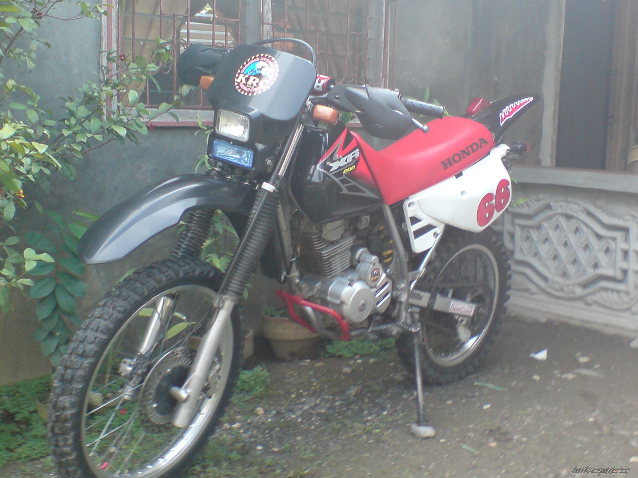 Photo 1277372