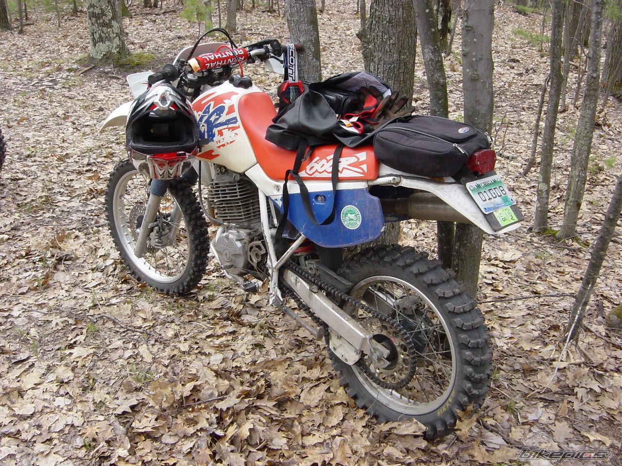 Photo 1277397