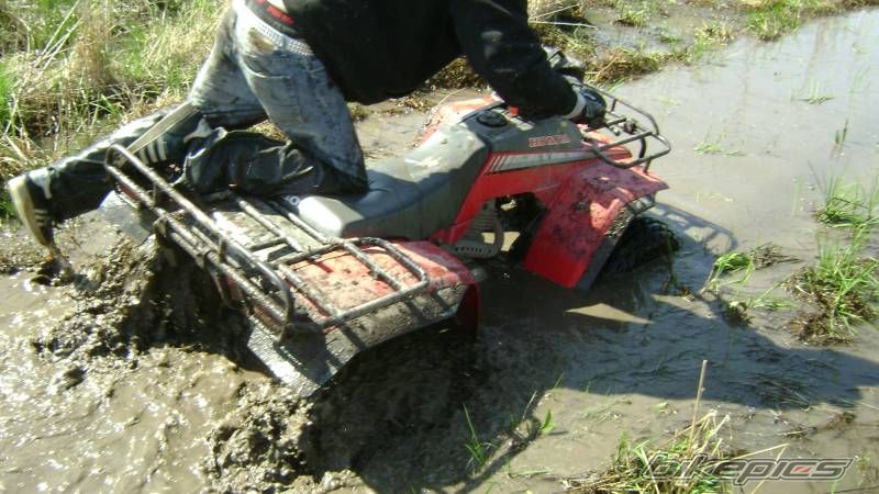 Photo 1277453