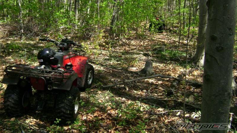 Bike Photo 1277455