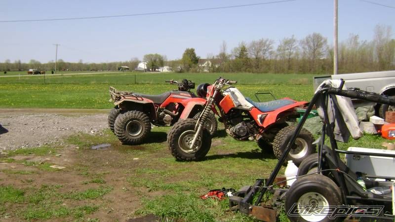 Photo 1277461