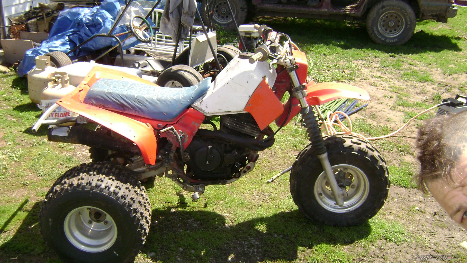 Photo 1277462