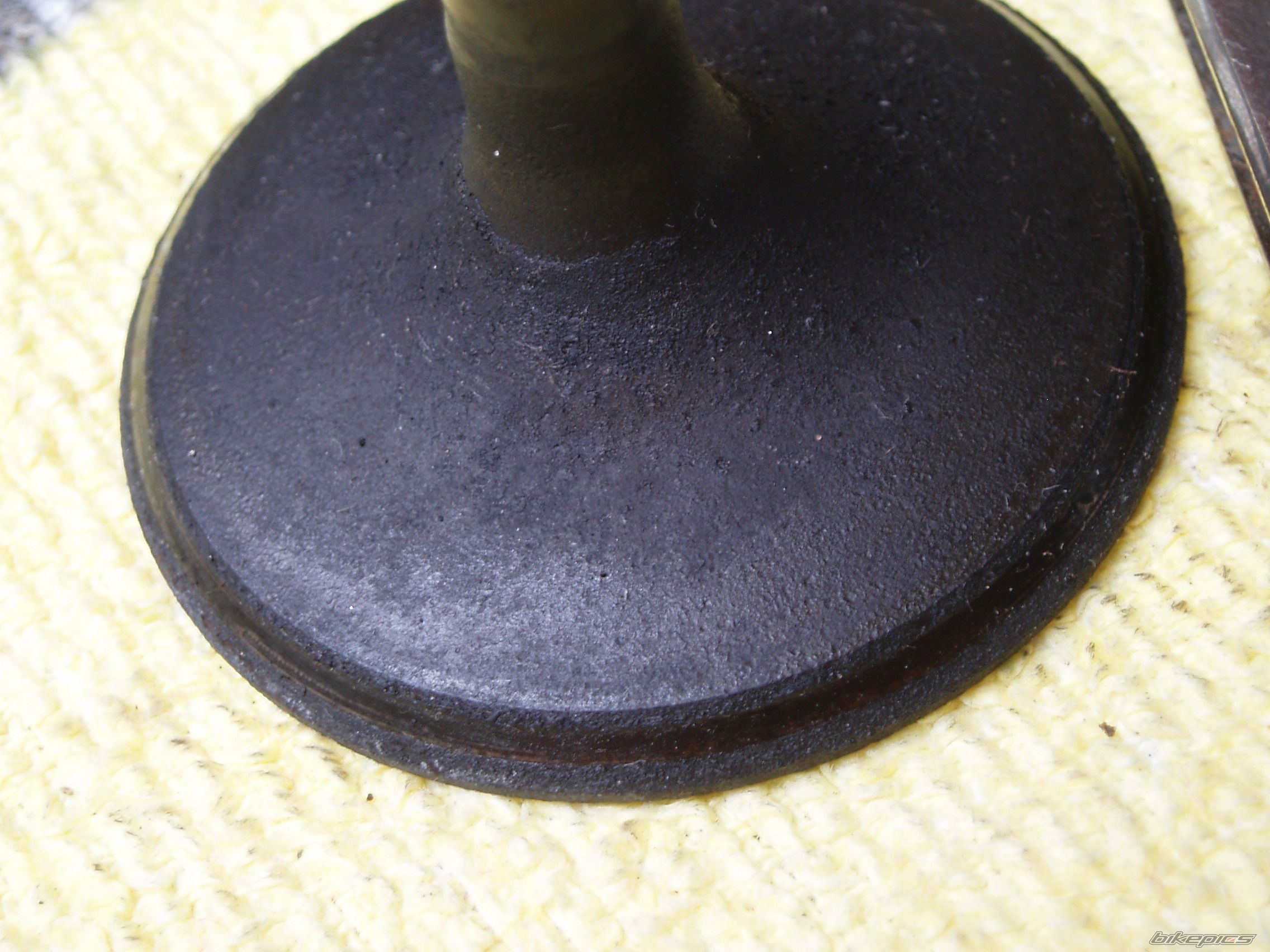 Photo 1277470