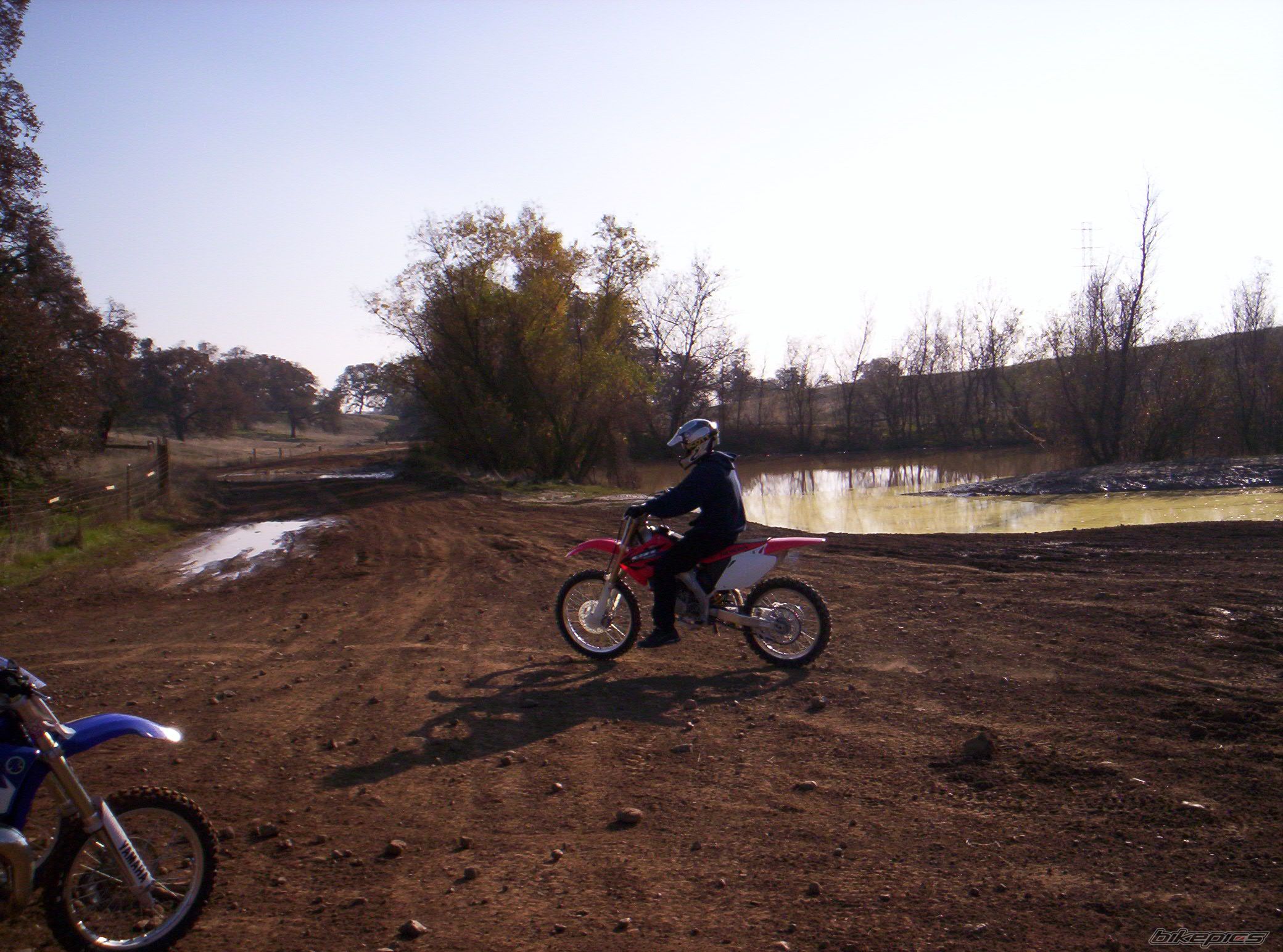 Photo 1277516