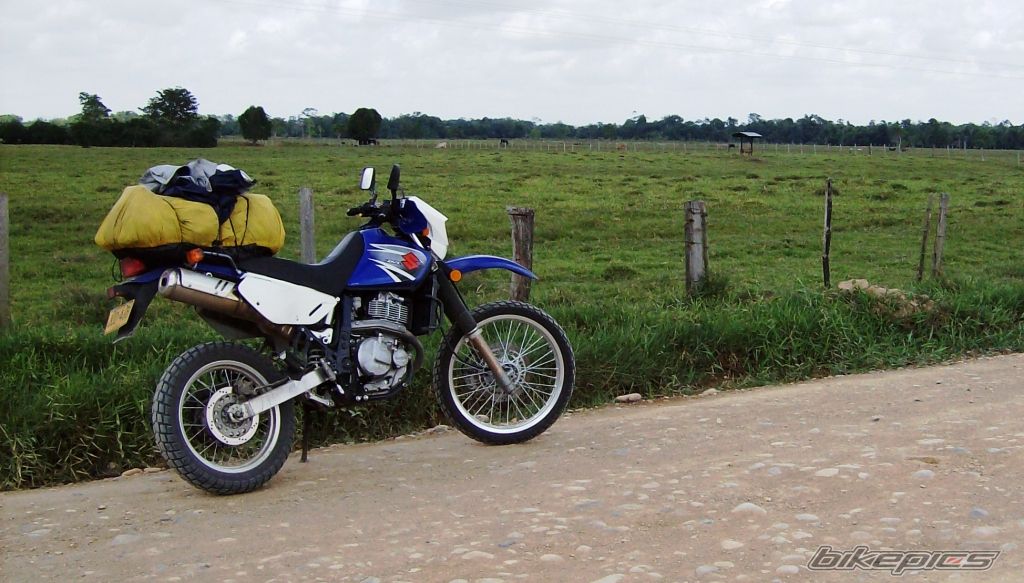 Bike Photo 1277535