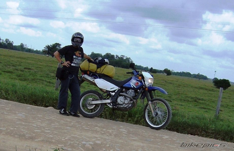 Photo 1277537