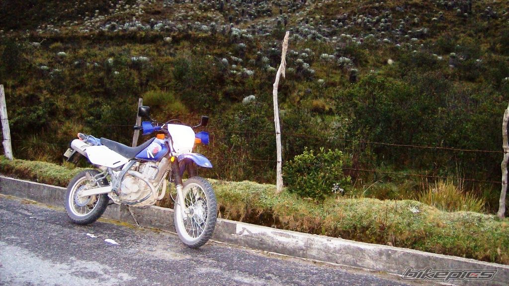 Bike Photo 1277540