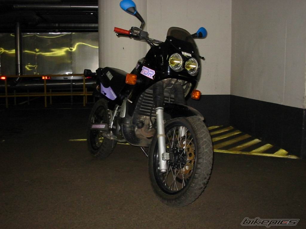 Photo 1277556