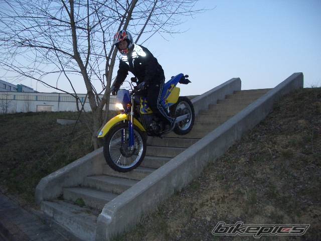 Photo 127758