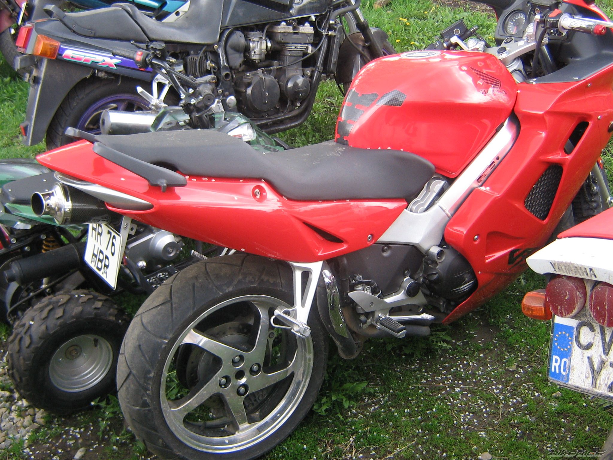 Photo 1277667