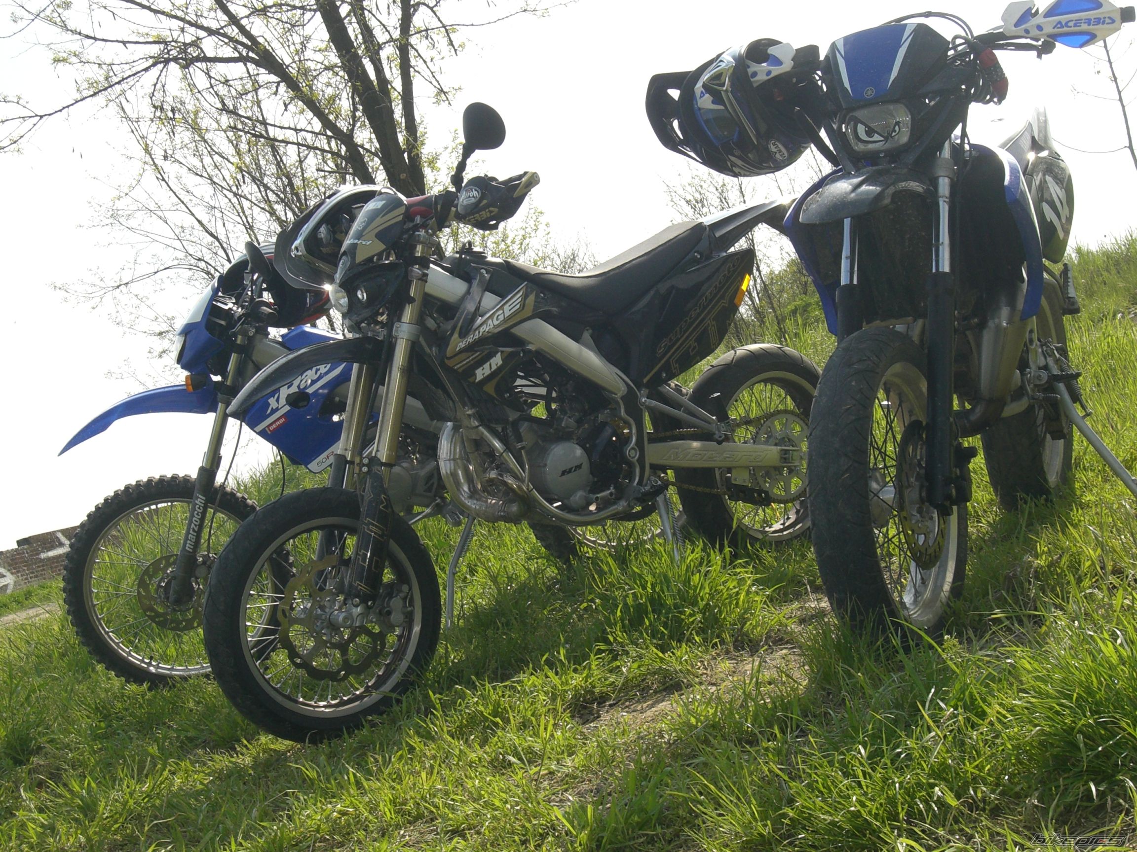 Photo 1277762