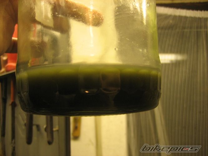 Photo 1277783