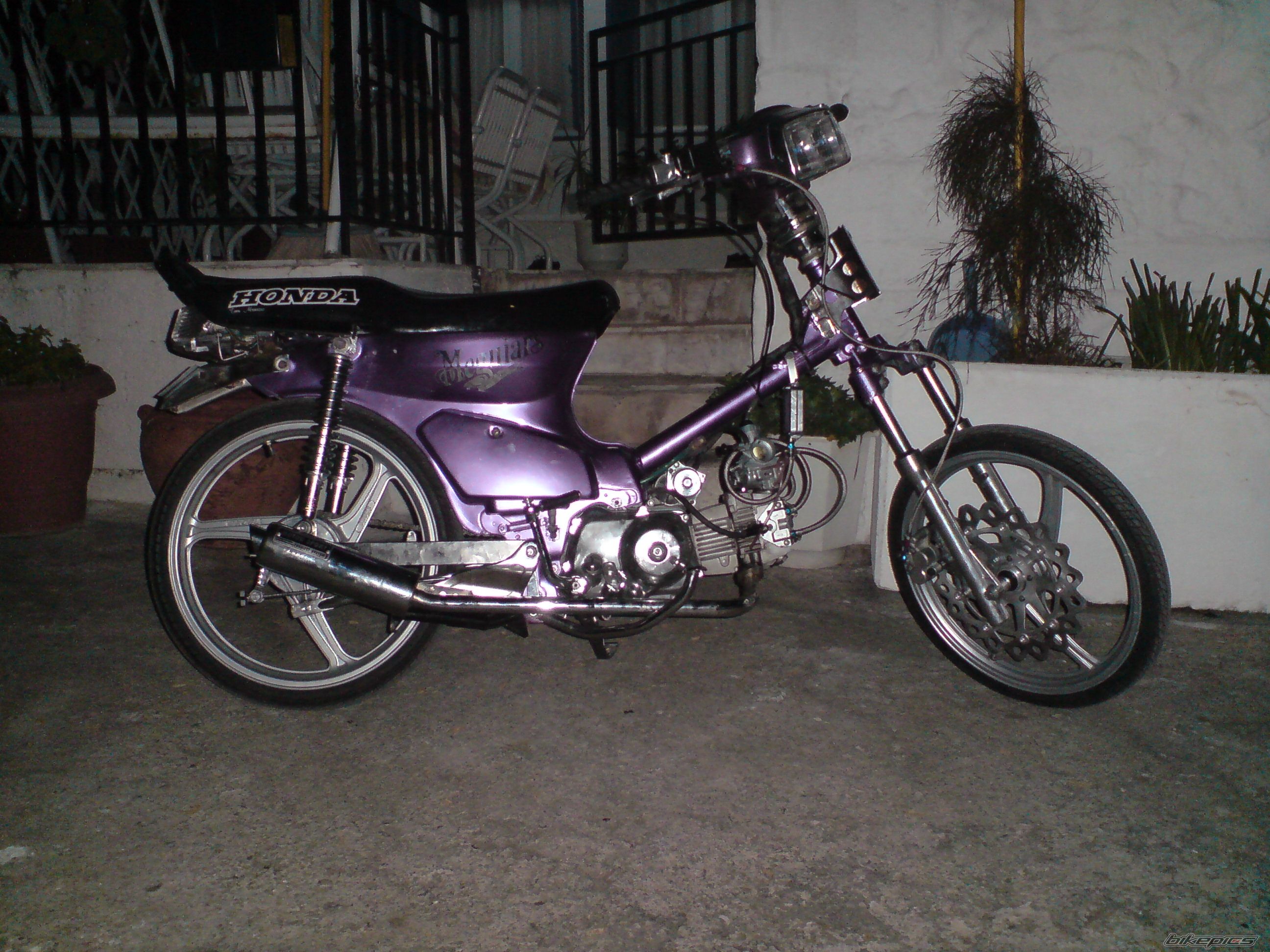Photo 1277789