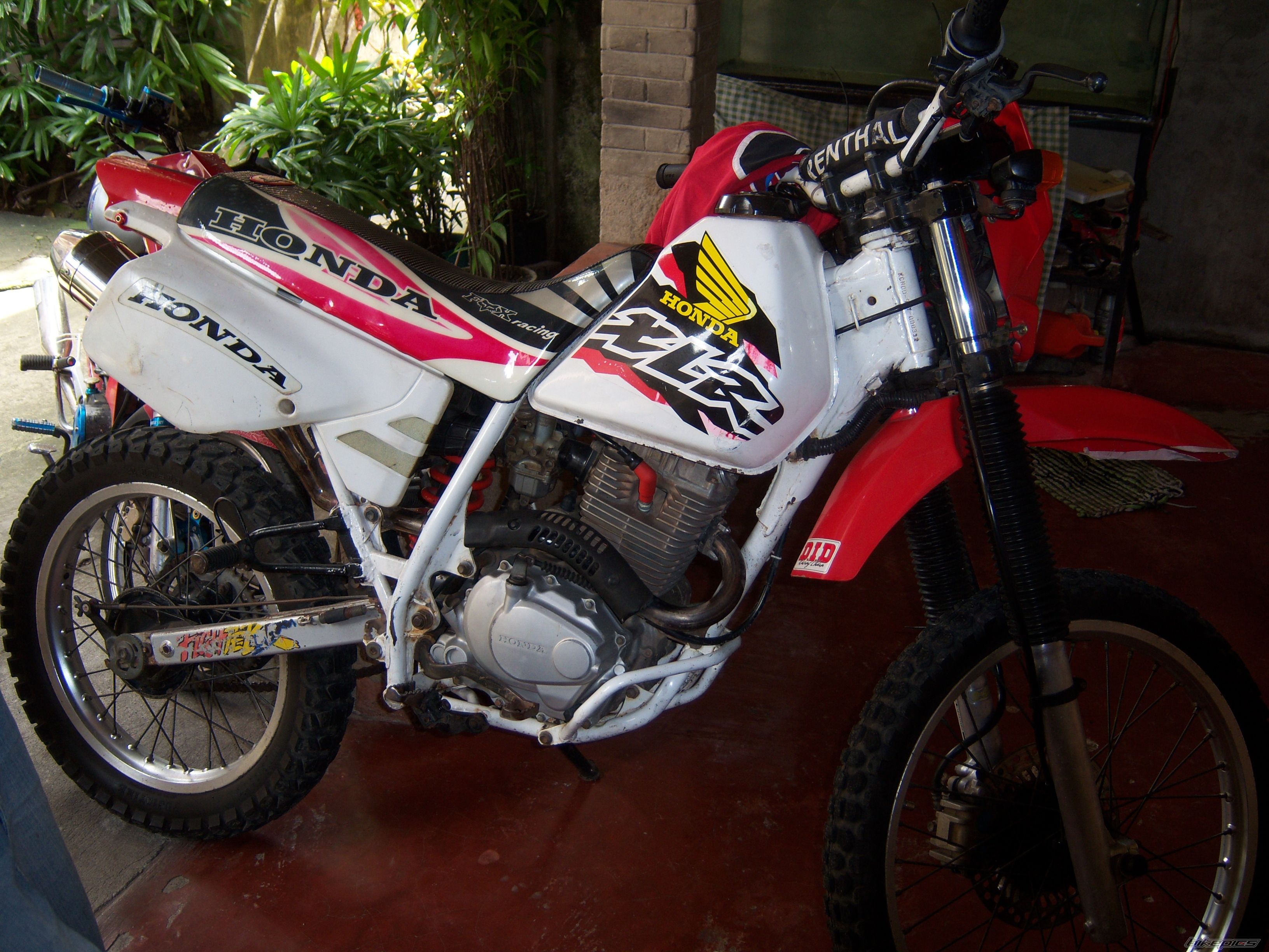 Photo 1277796