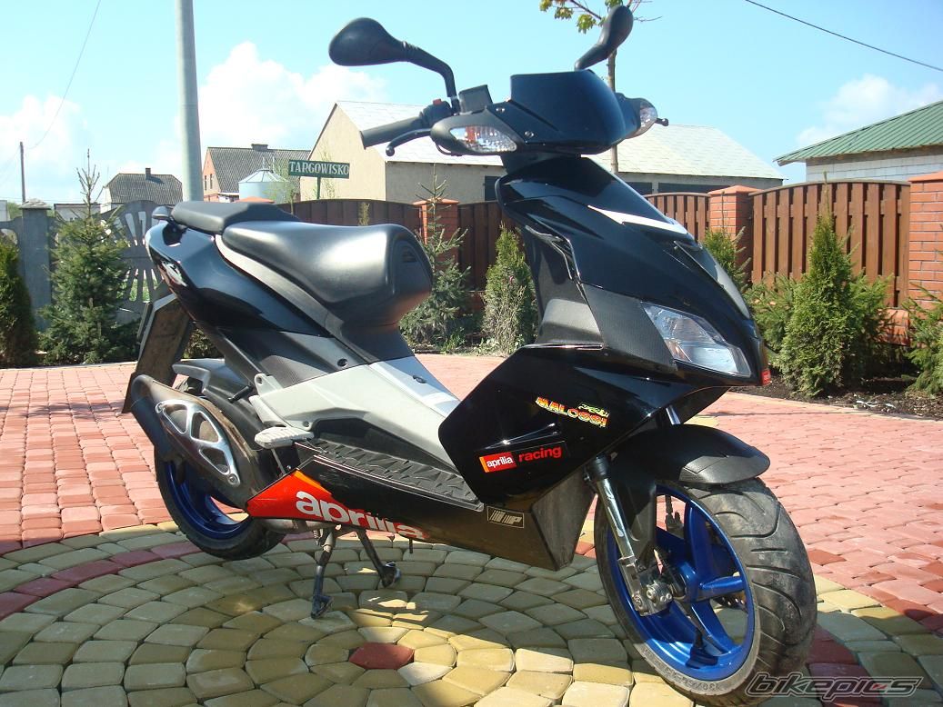 Photo 1277815