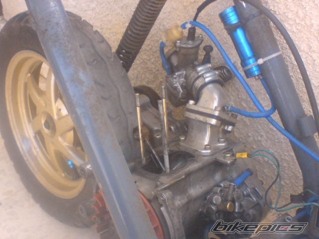 Photo 1277827