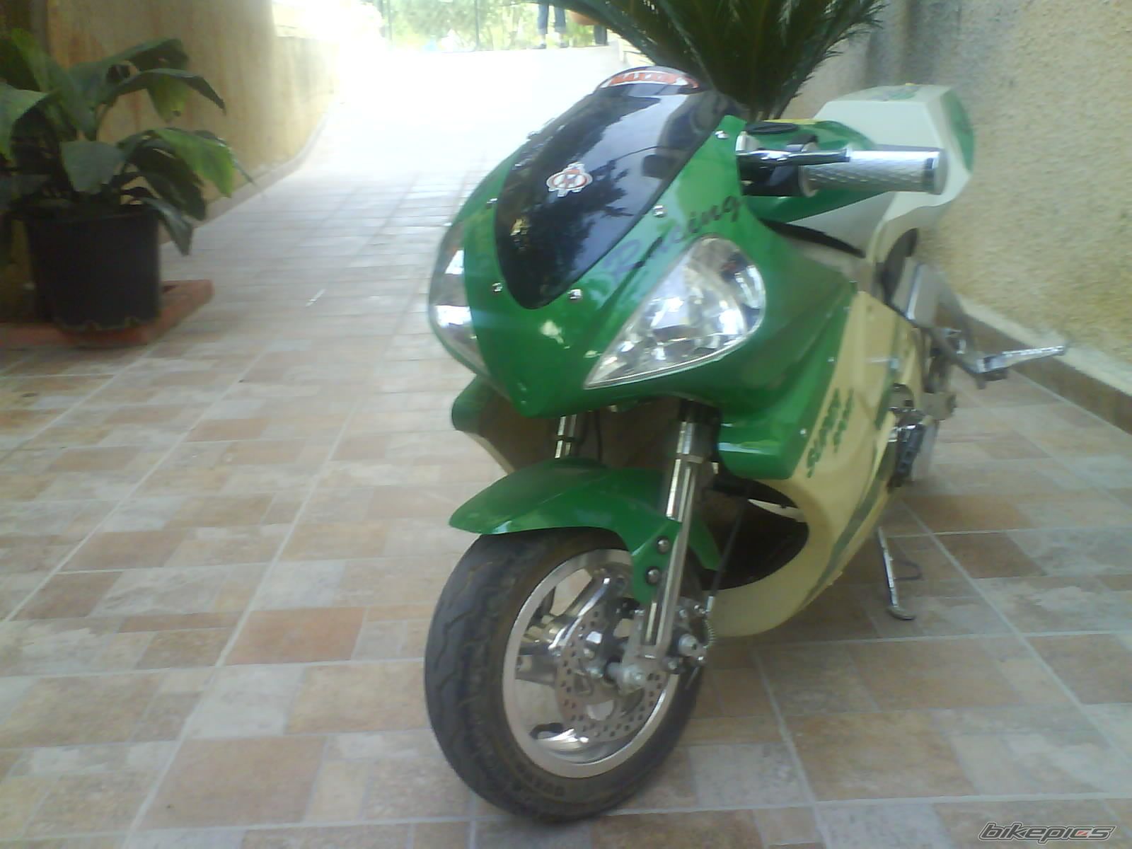 Photo 1277838