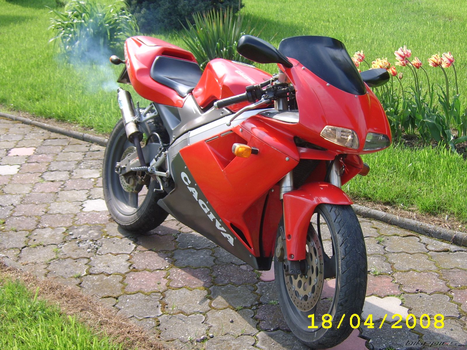 Photo 1277977