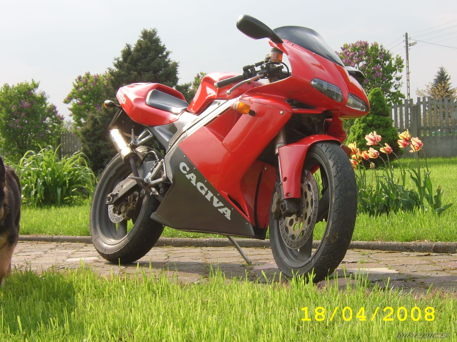 Photo 1277985