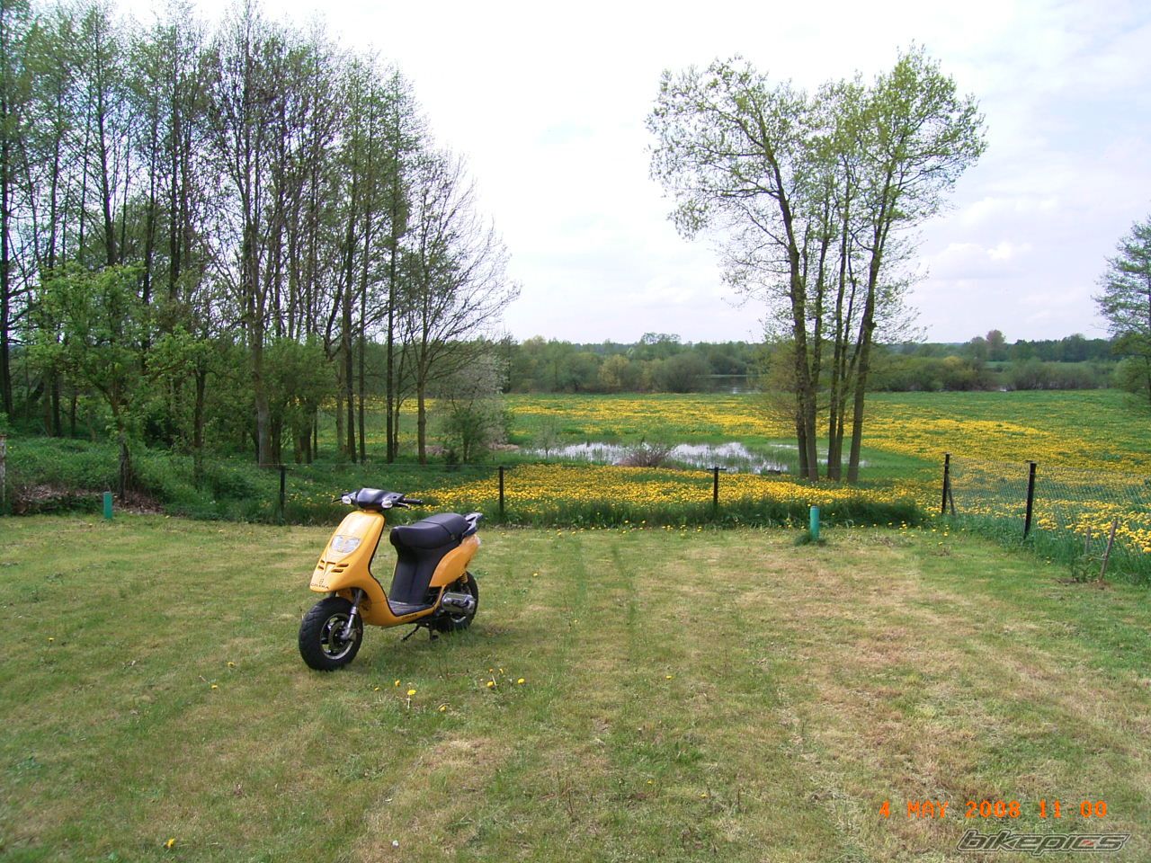 Photo 1277990