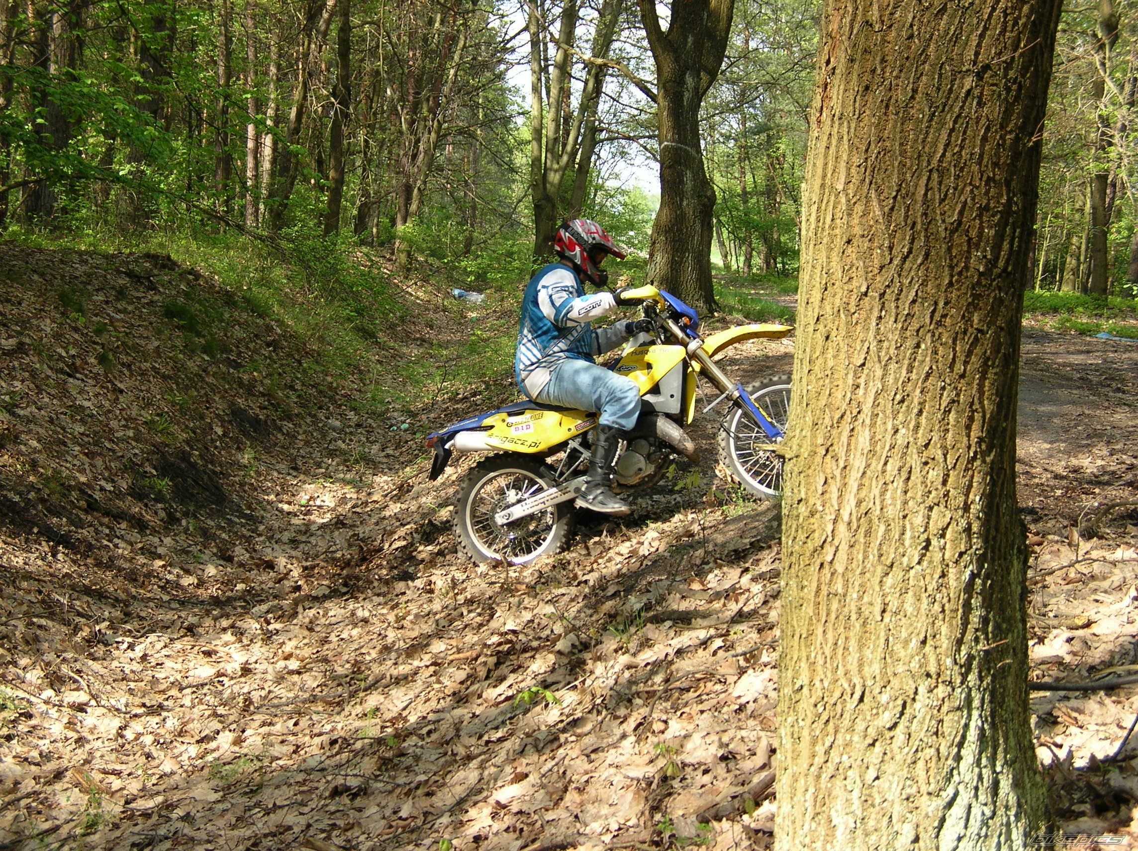 Photo 1278012
