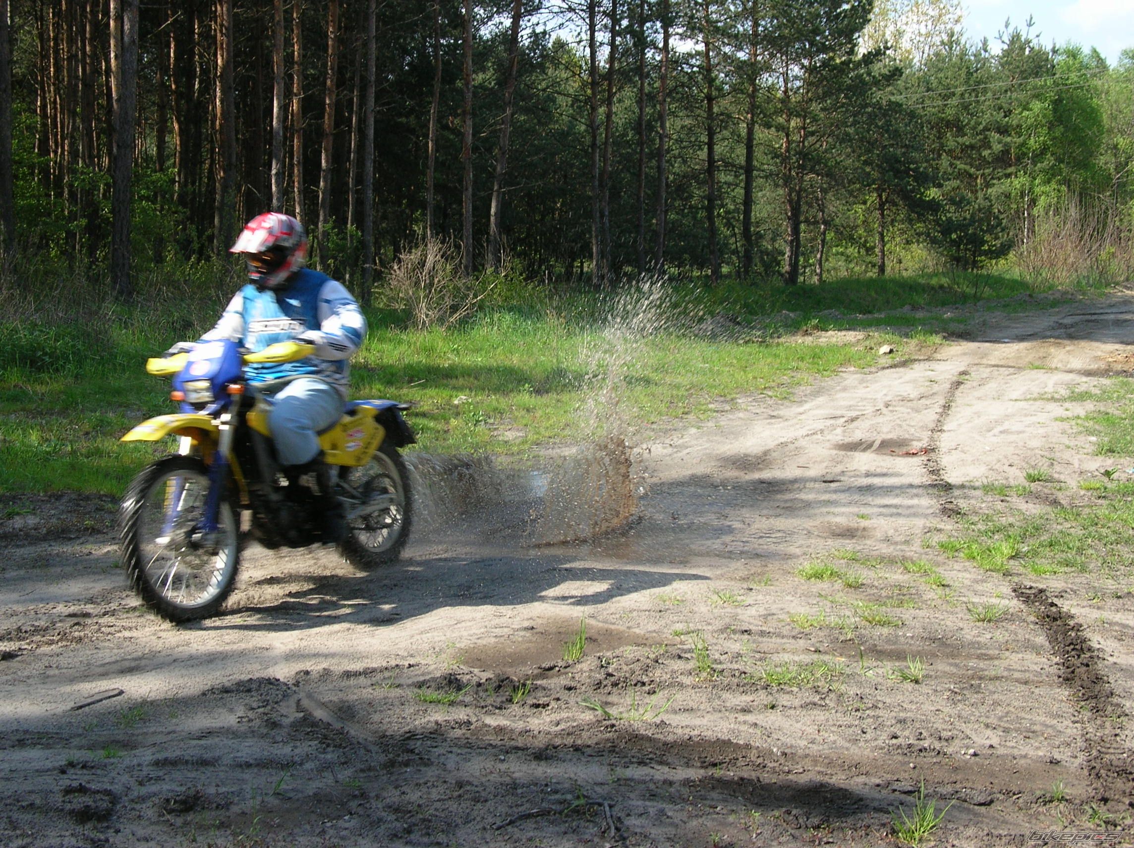 Photo 1278020