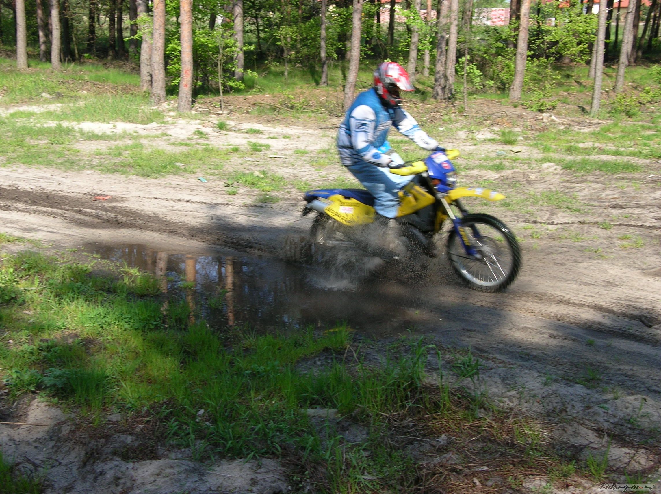 Photo 1278023