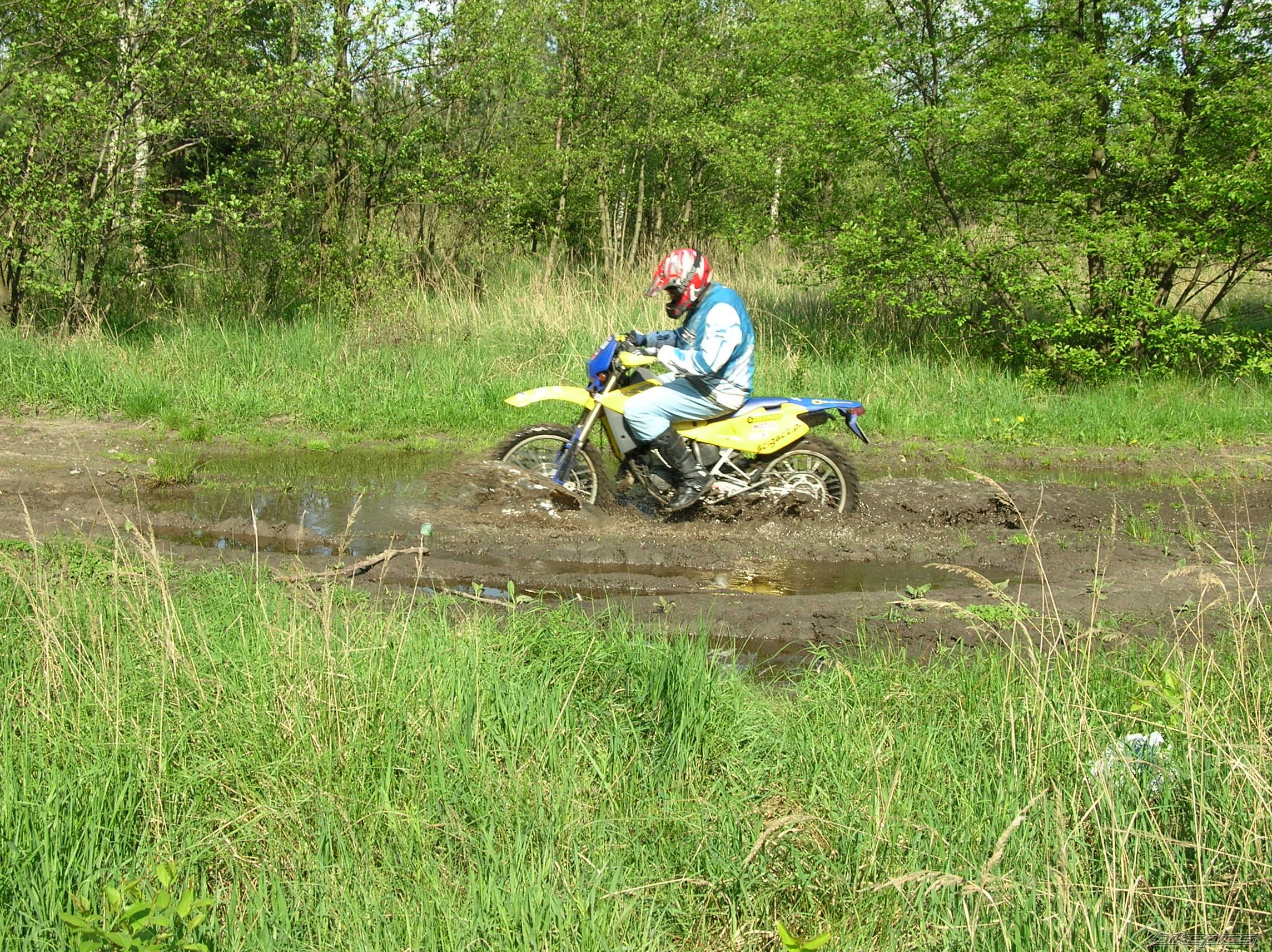 Photo 1278024