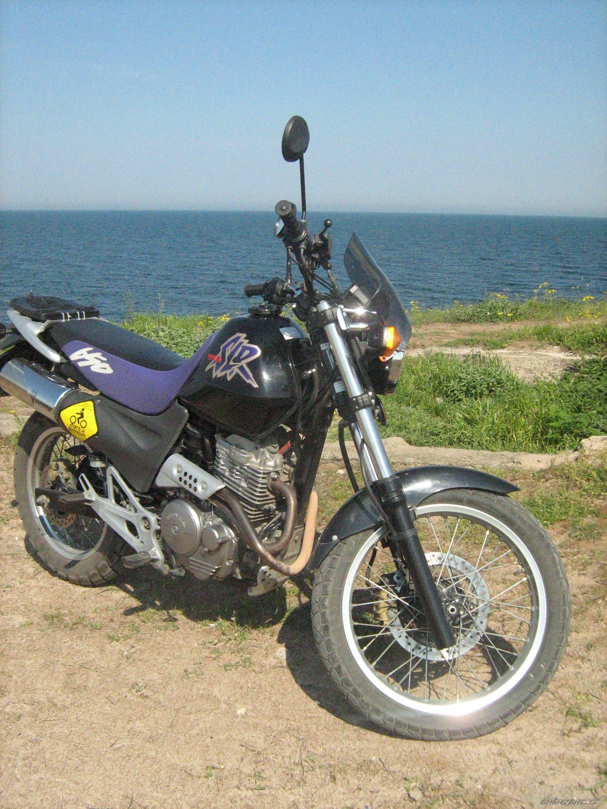 Photo 1278038