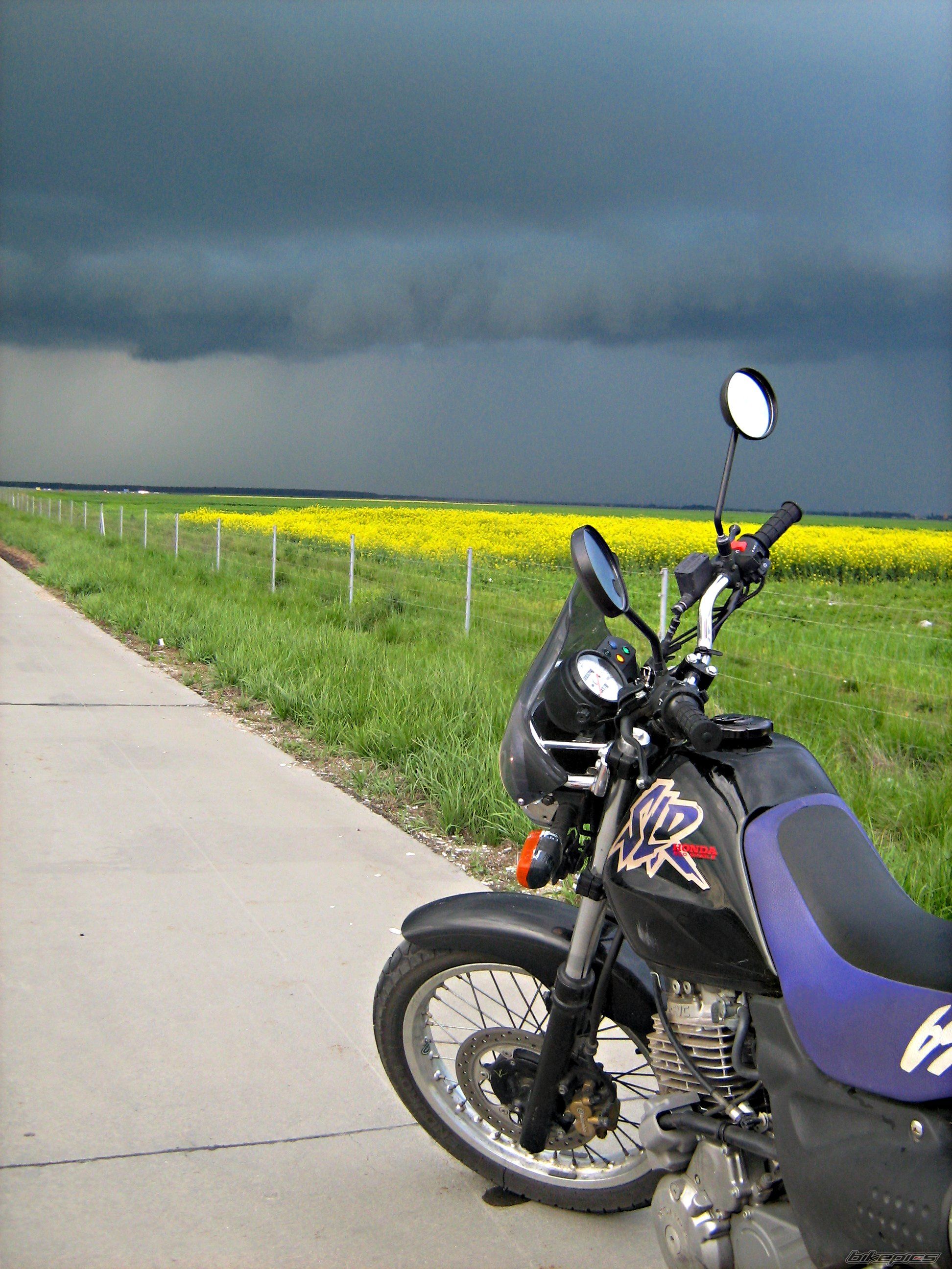 Photo 1278049