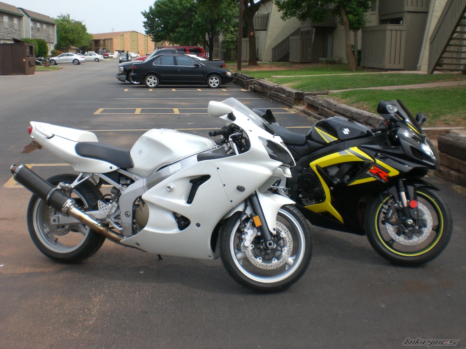 Photo 1278095