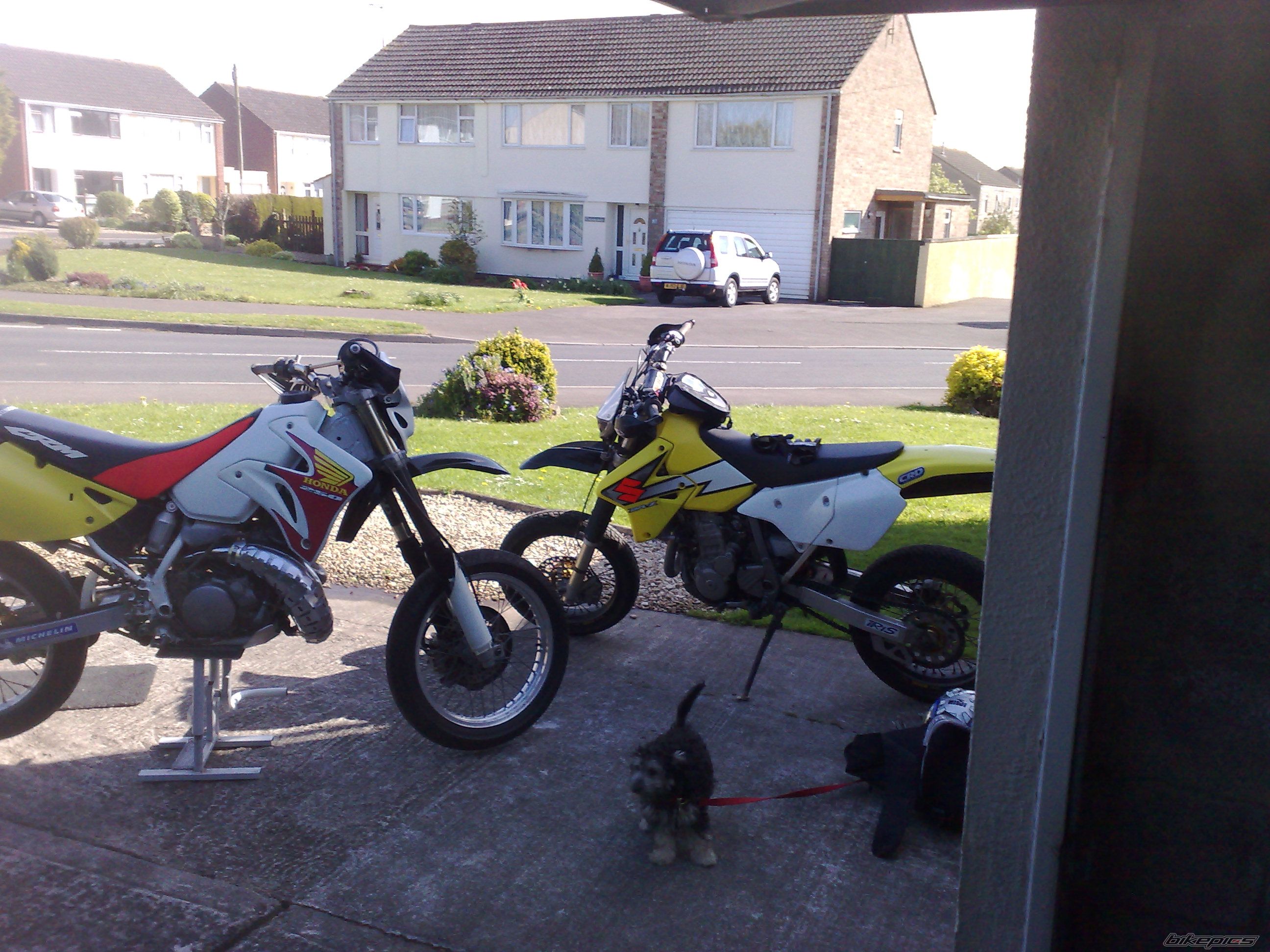 Photo 1278119