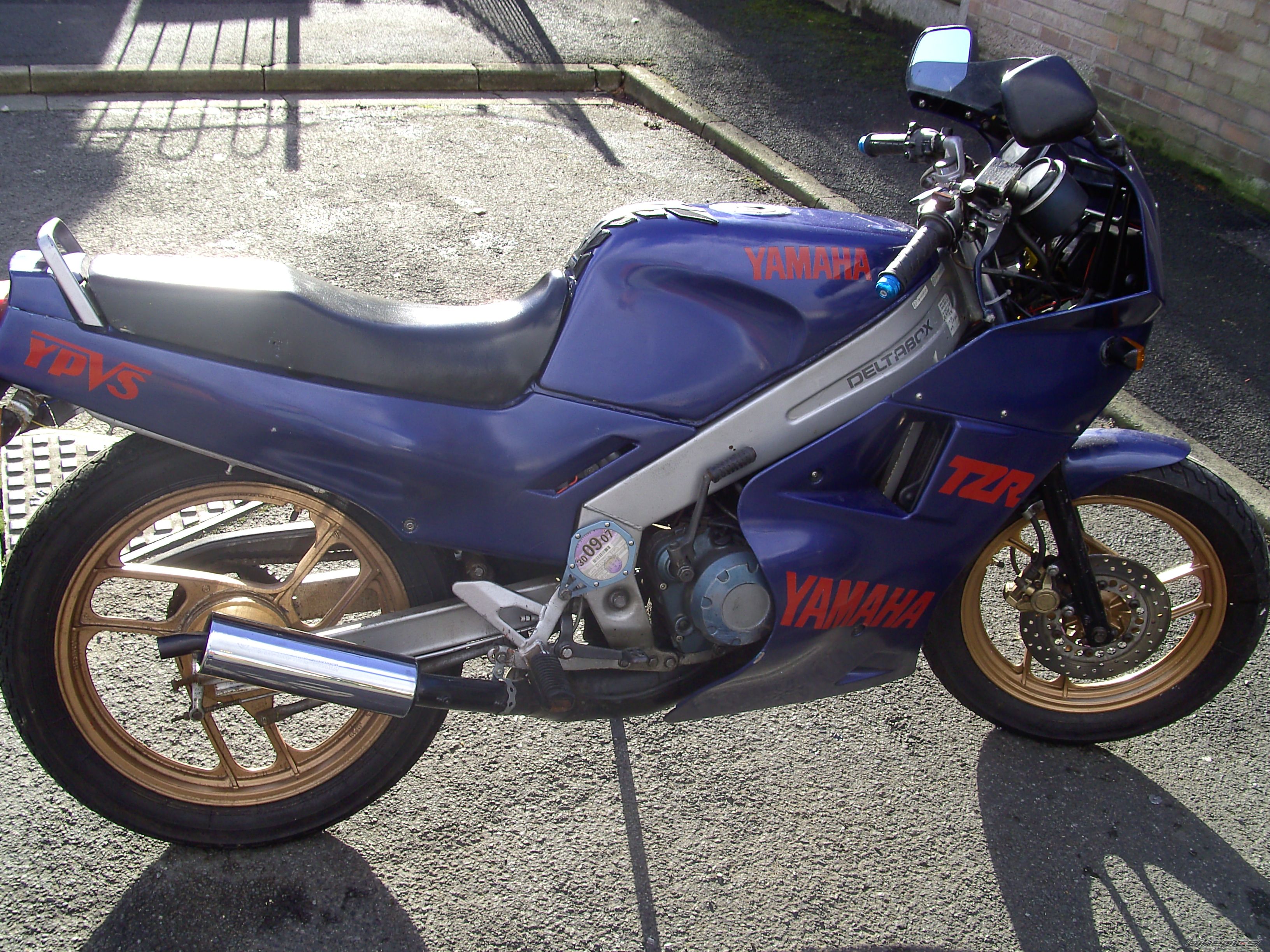 Photo 1278129