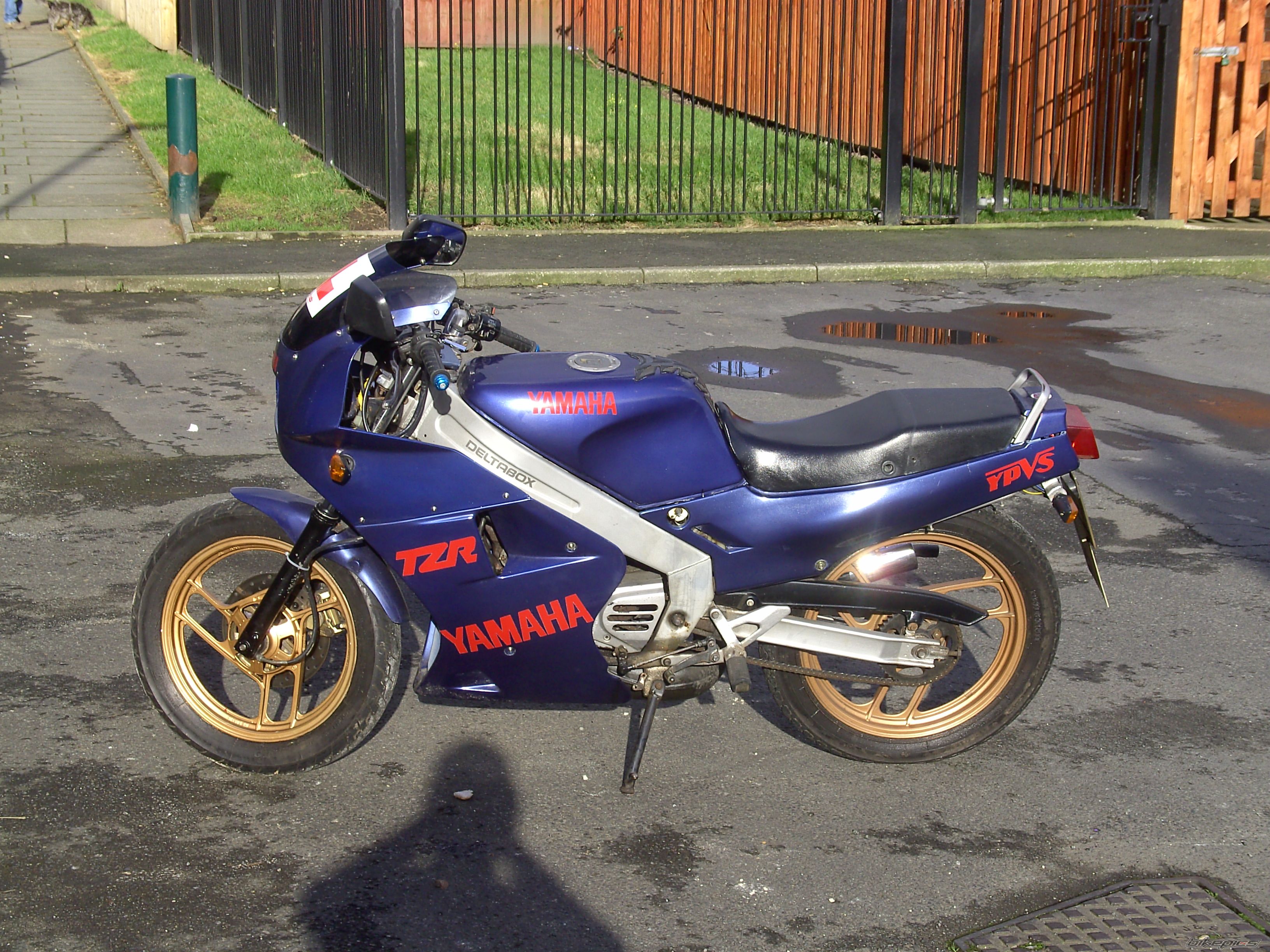 Photo 1278141