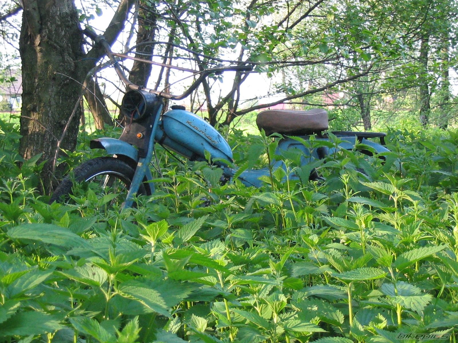 Bike Photo 1278167