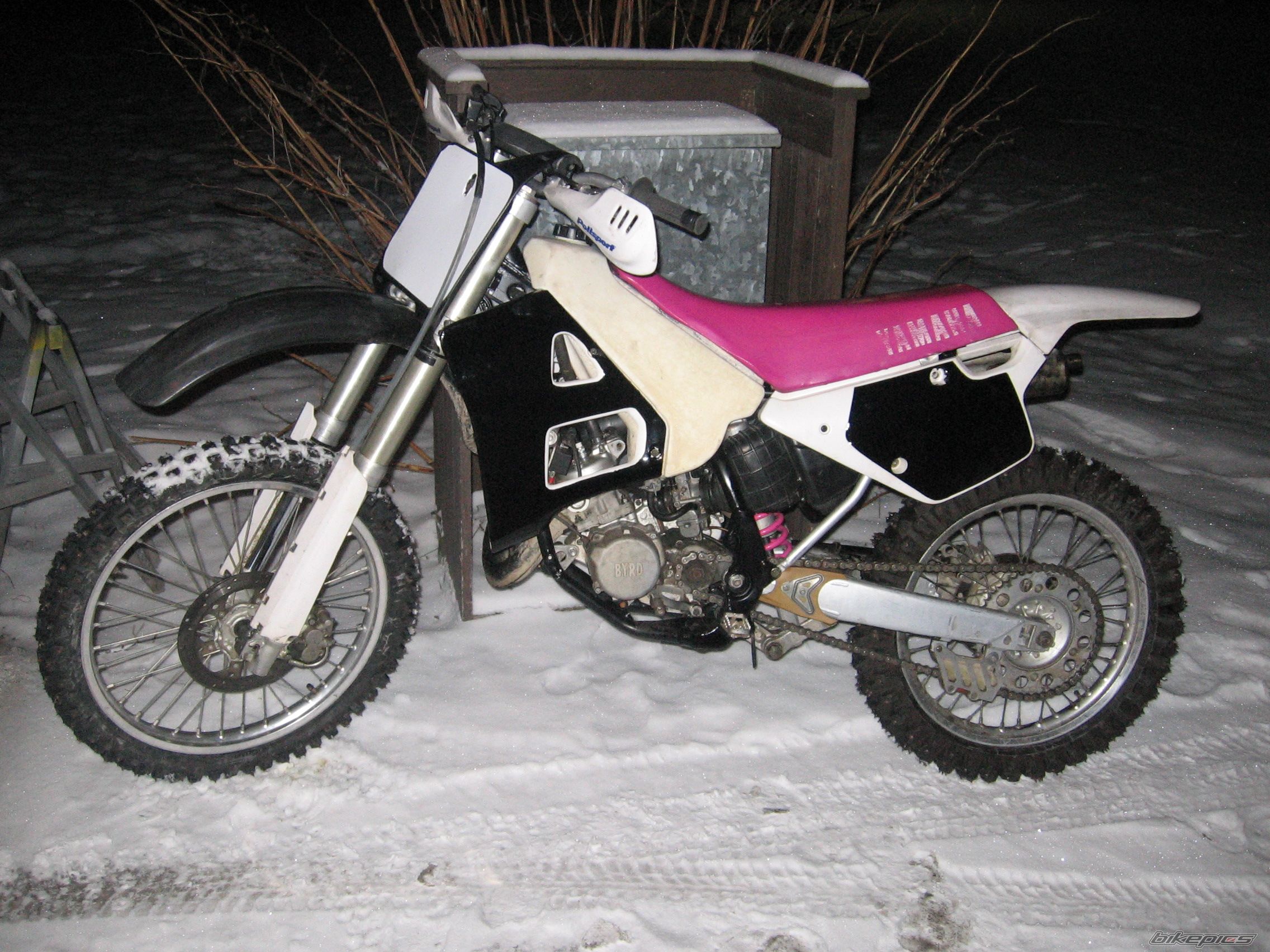 Photo 1278289