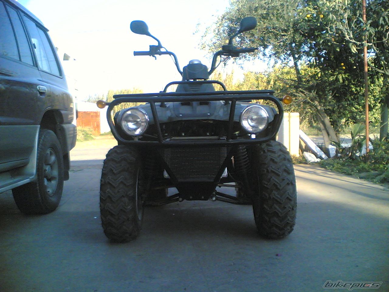 Photo 1278311