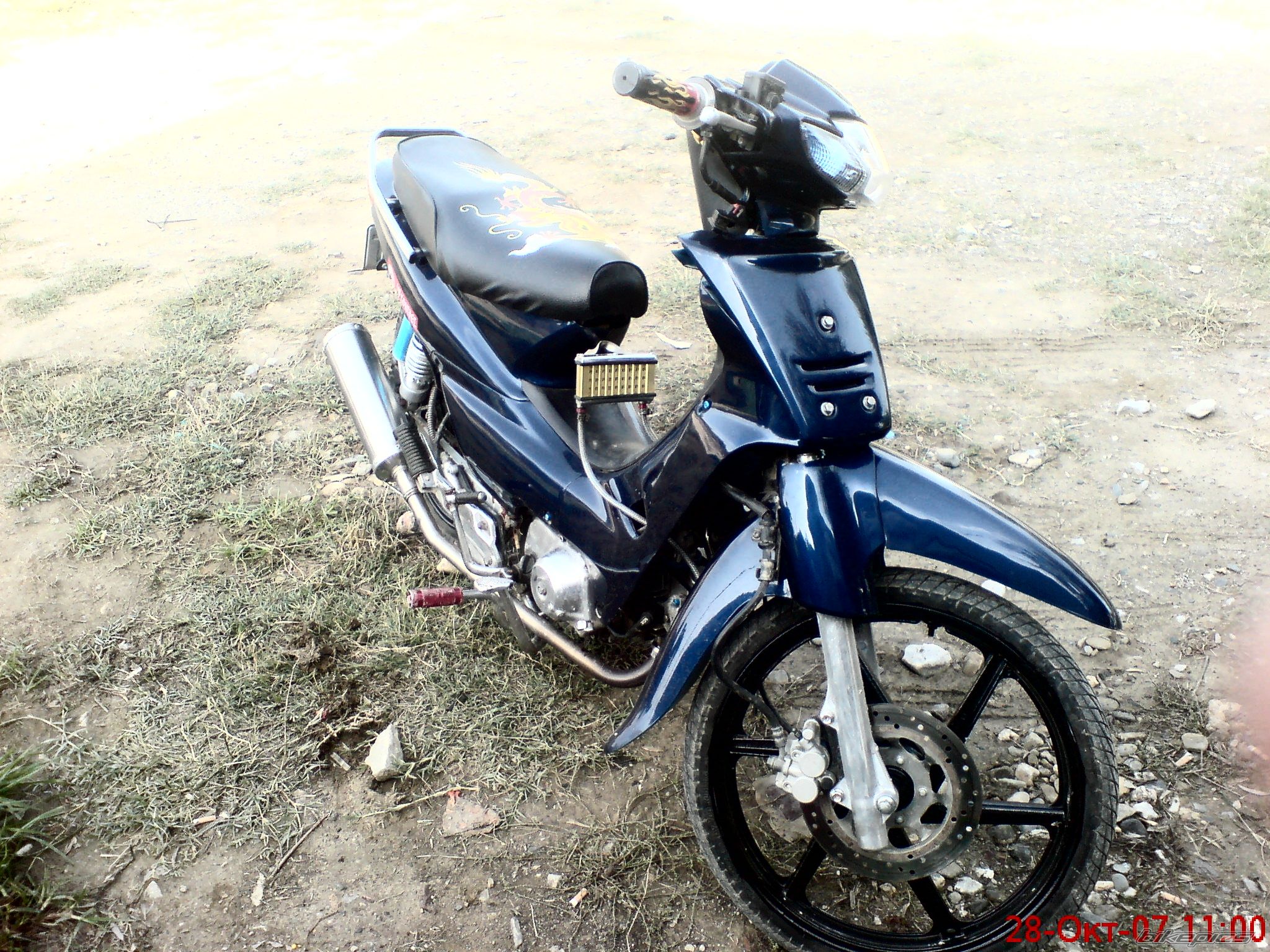 Photo 1278369