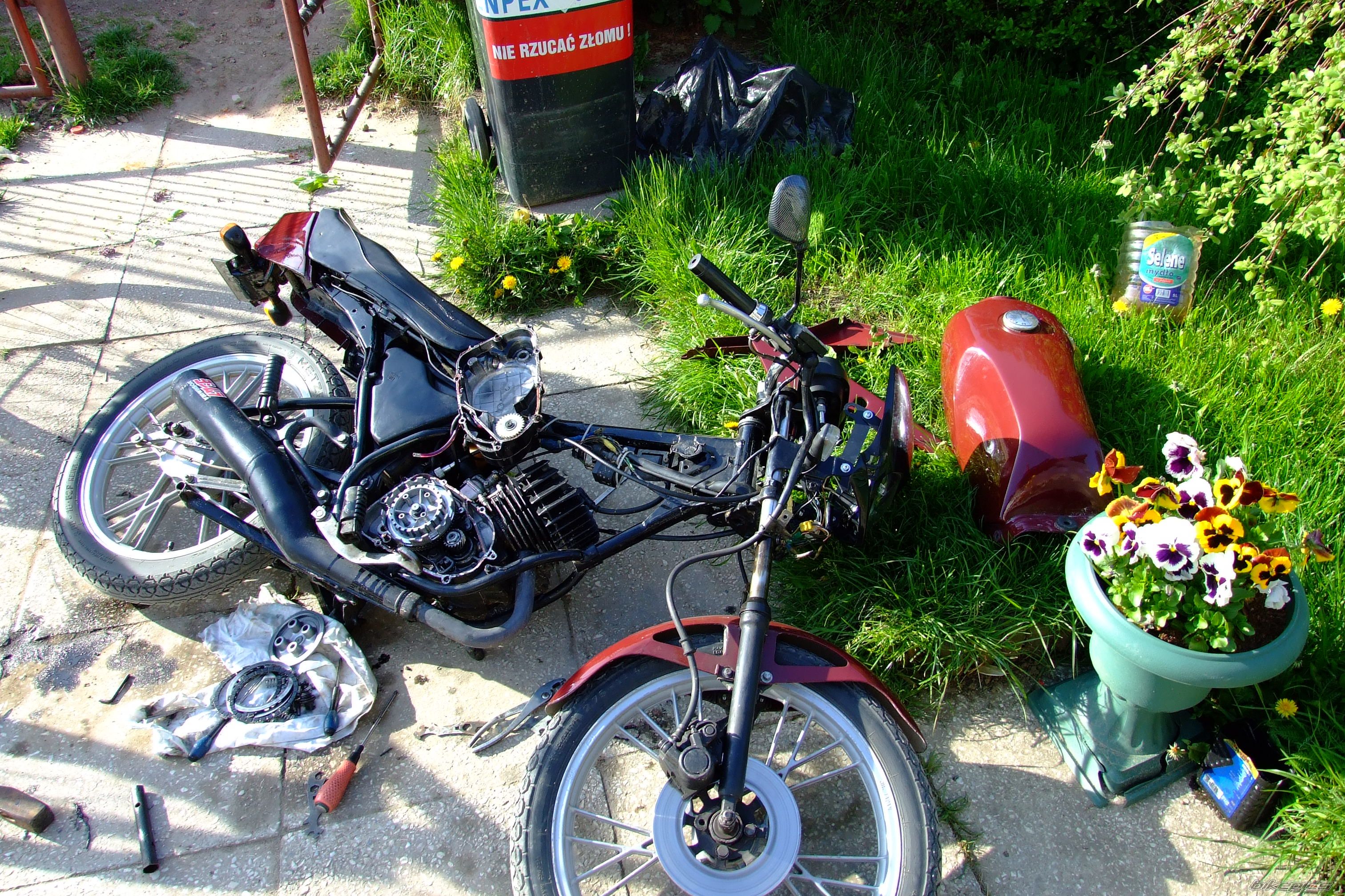 Photo 1278439
