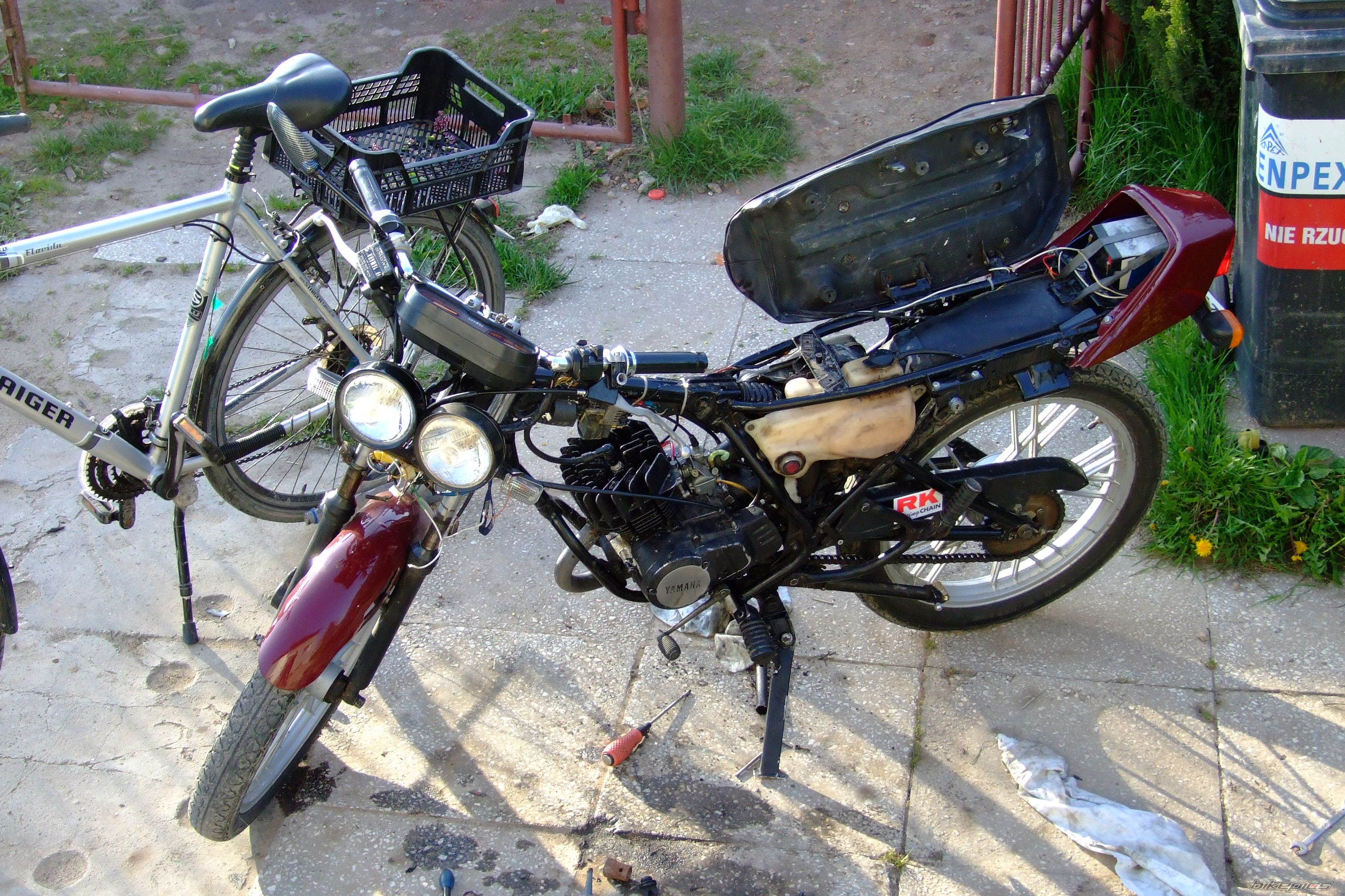 Photo 1278441