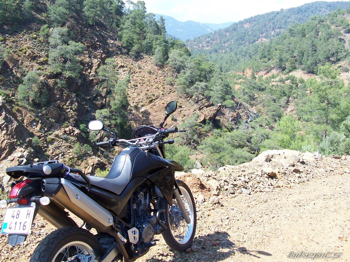 Bike Photo 1278621