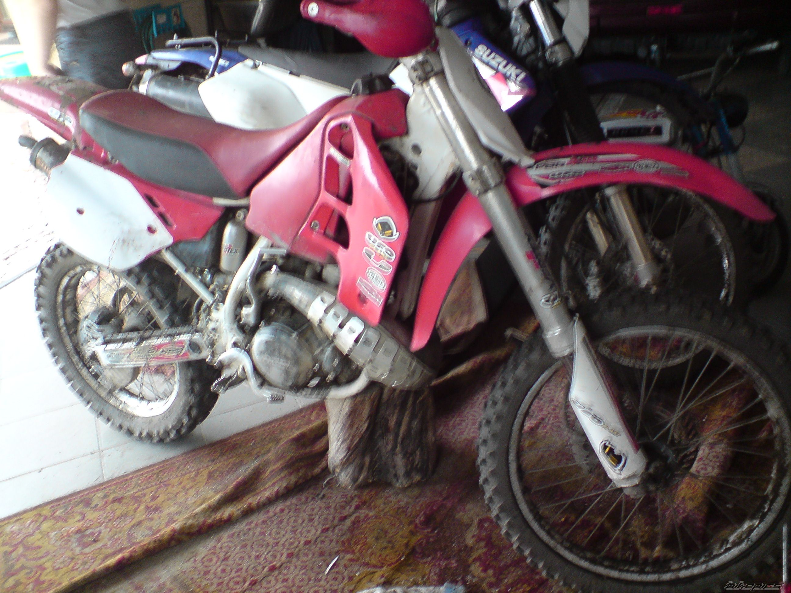 Photo 1278622