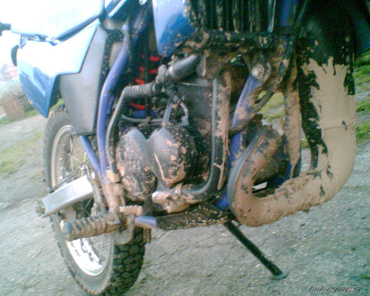 Bike Photo 1278625
