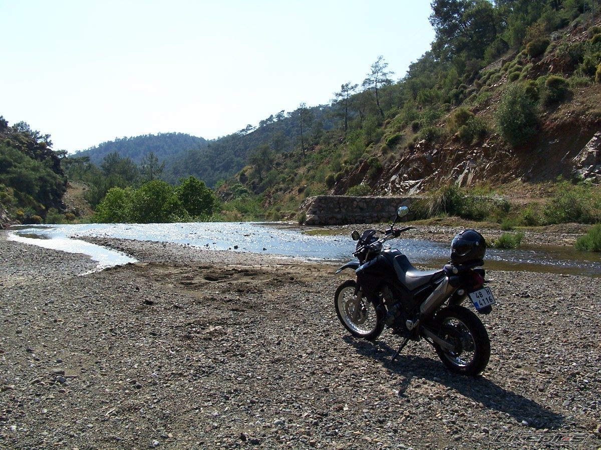 Bike Photo 1278628