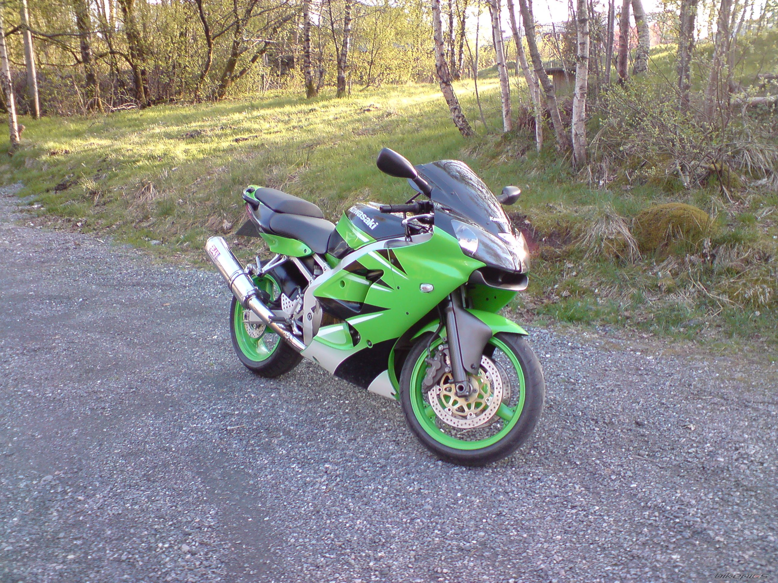 Photo 1278664