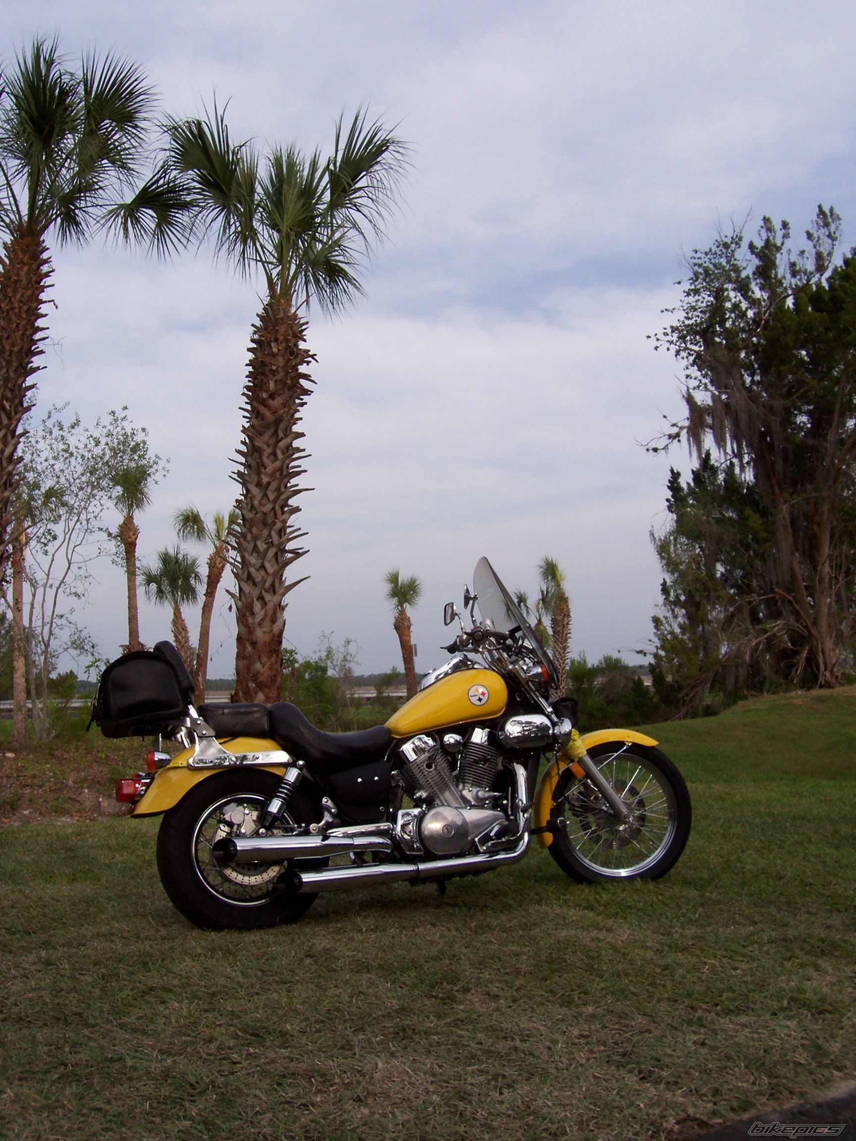 Photo 1278711