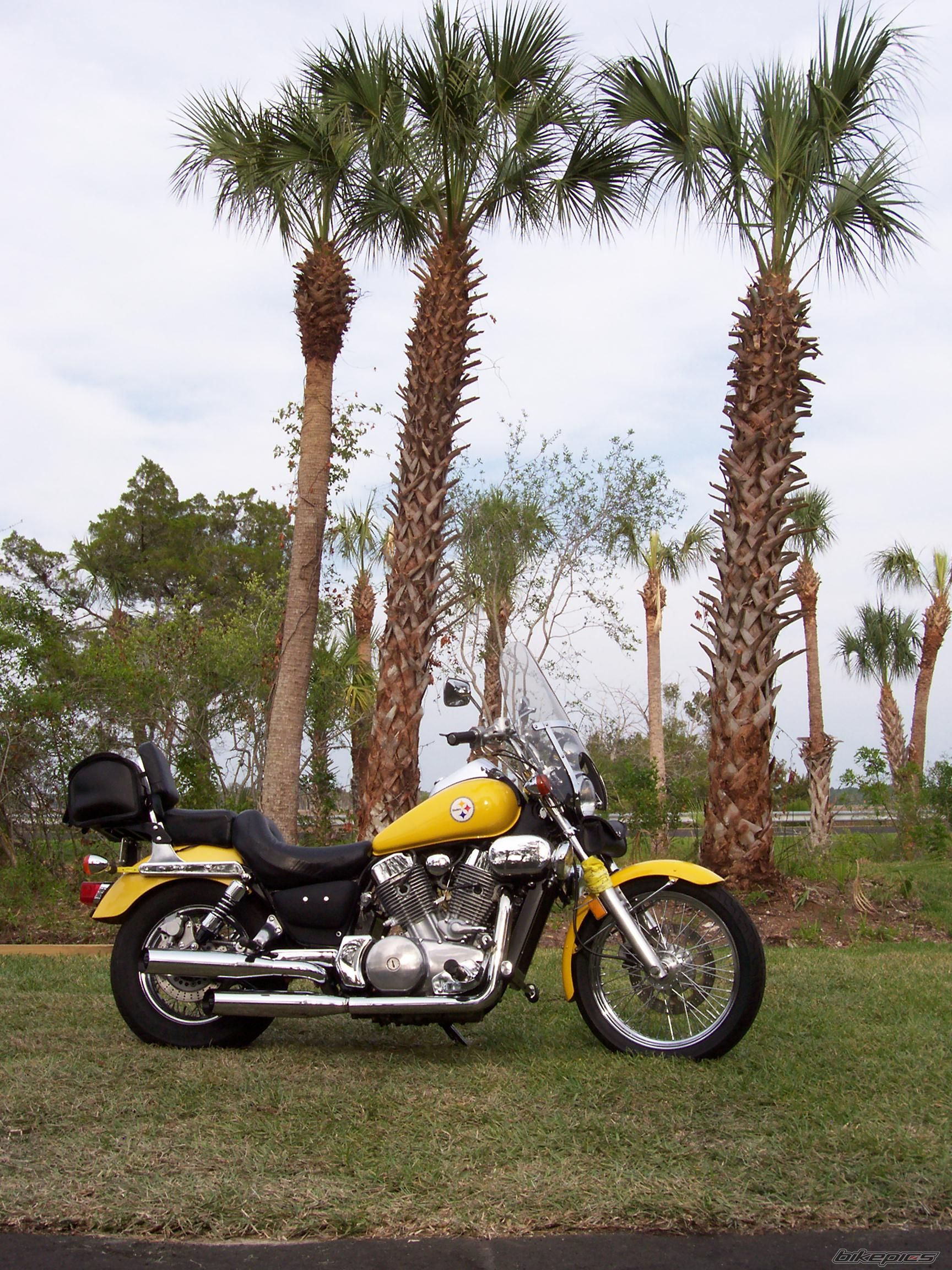 Photo 1278713