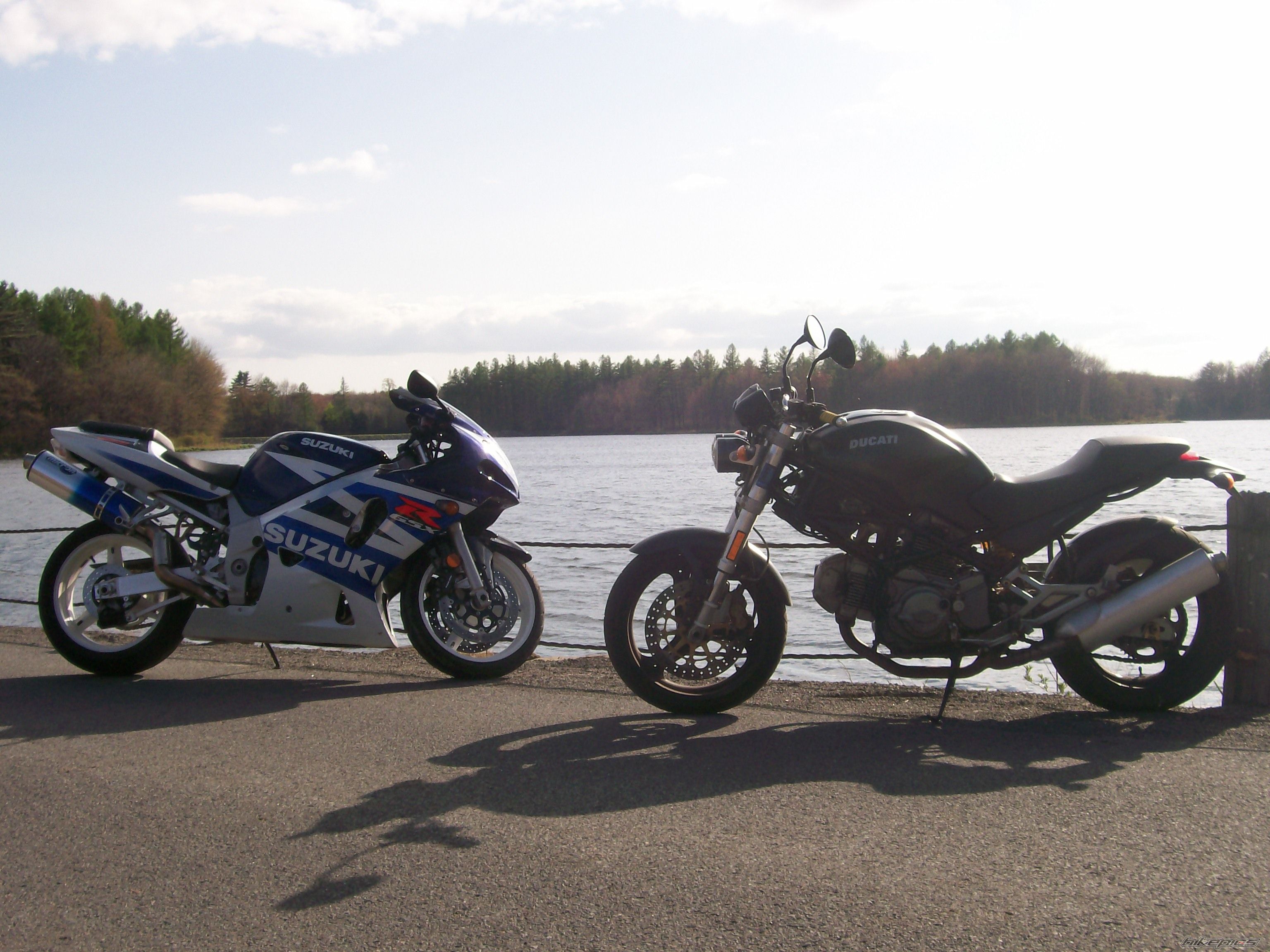 Photo 1278728